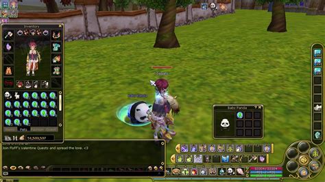 flyff looter pet|Pet .